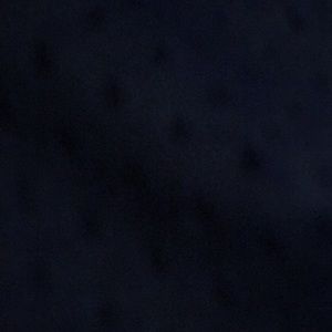 Meet your Posher, Jesus